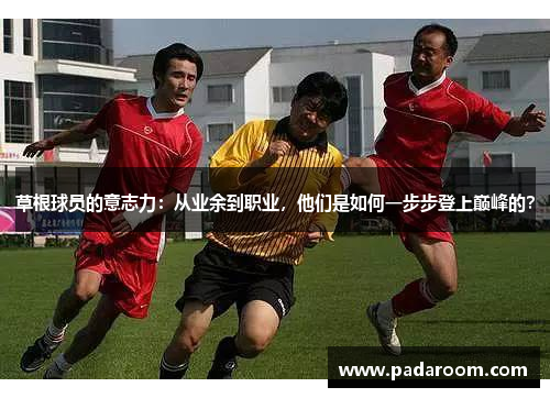 草根球员的意志力：从业余到职业，他们是如何一步步登上巅峰的？